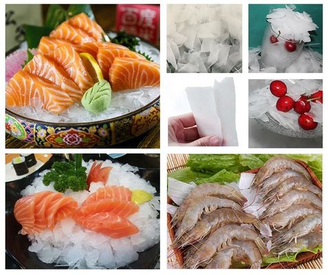 دستگاه یخ ساز اتوماتیک 20 تن برف برای ماهیگیری غذاهای دریایی تازه