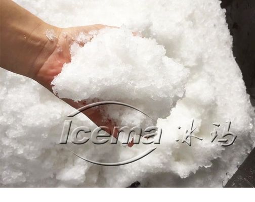 9T / h ظرفیت ماشین یخچال کوچک فولاد ضد زنگ ICEMA برای نگهداری تازه