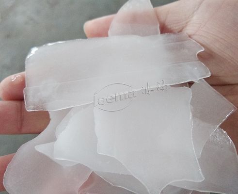 2T / 24H ماشین ساخت فلک یخ صنعتی برای ماهیگیری